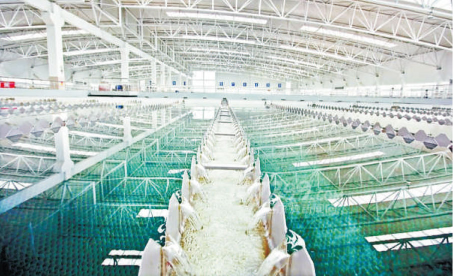 长阳市自来水净化处理项目